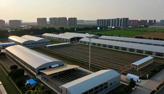 短视频内容创作中流量转化的实用策略