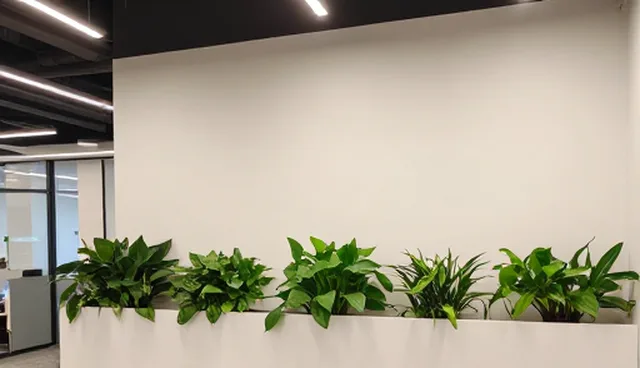 视频剪辑中用户留存的痛点及优化方向